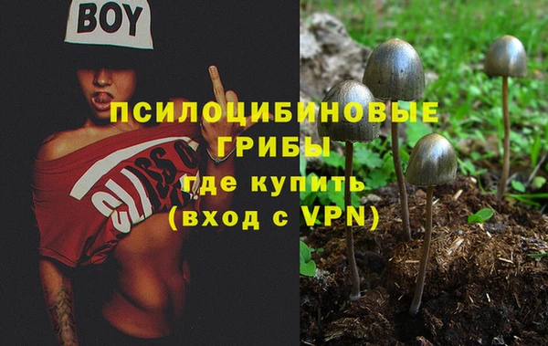 дмт Алексеевка