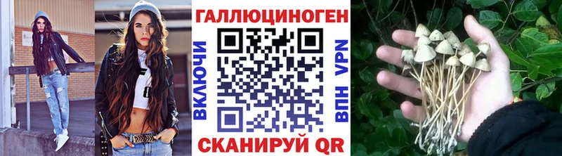 наркошоп  Евпатория  Псилоцибиновые грибы прущие грибы 